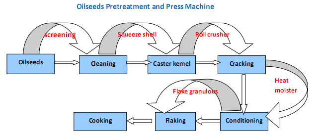 oilseed pretreatment and pressing machine