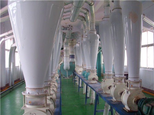 Corn Germ Extraction and Corn Flour Milling Production Line