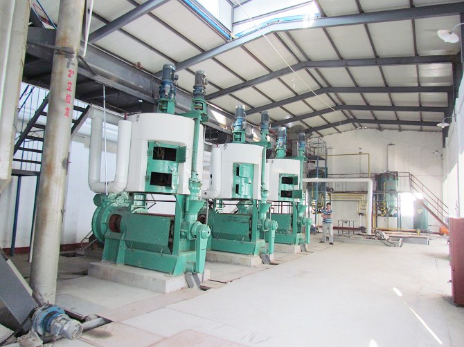 Cottonseed Oil Pretreatment and Pressing Machine