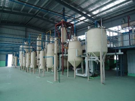 Grape Seed Oil Refining Processing Line