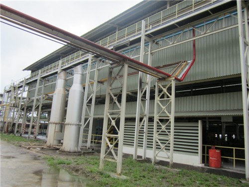 Palm Fruit Oil Pressing Machine