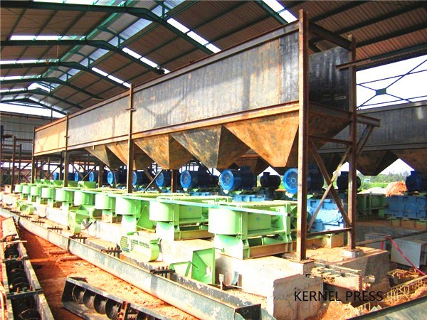 Palm Kernel Oil Pressing Machine