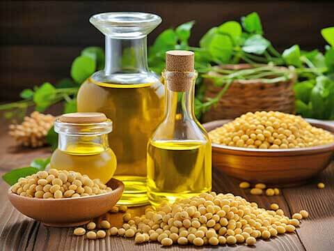 Edible Oil Extraction Equipment