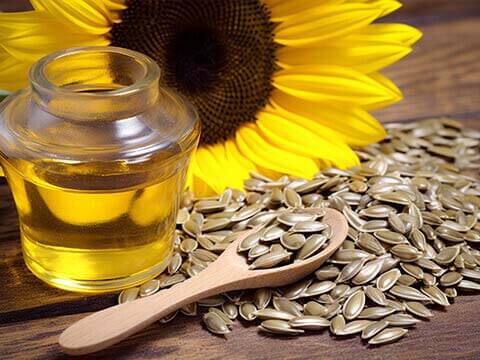 Edible Oil Extraction Equipment