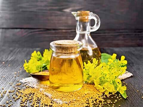 Mustard Oil Production Line