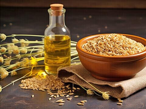 Rapeseed Oil Production Line