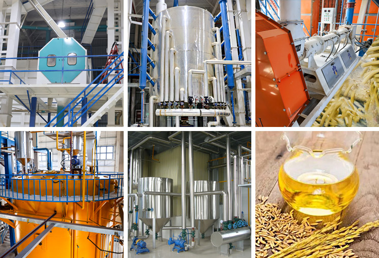 Rice bran oil production line with stabilization and extraction equipment