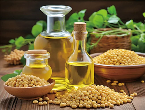 Soybean oil refining line where degumming, neutralizing and deodorizing losses are measured