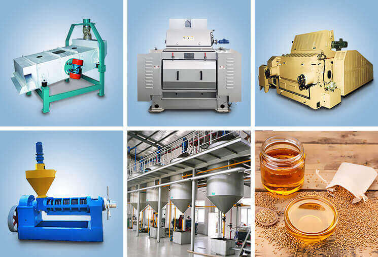 Mustard oil production line for flavour-led edible oil pressing and filtration