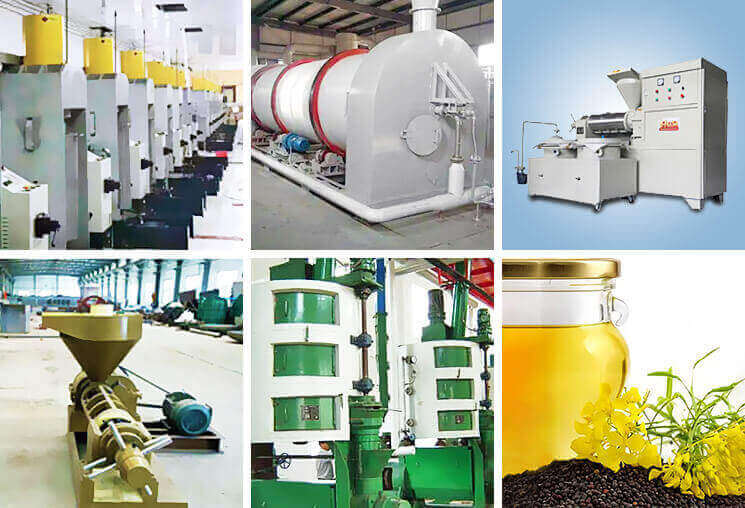Rapeseed oil production line equipment in an edible oil mill plant