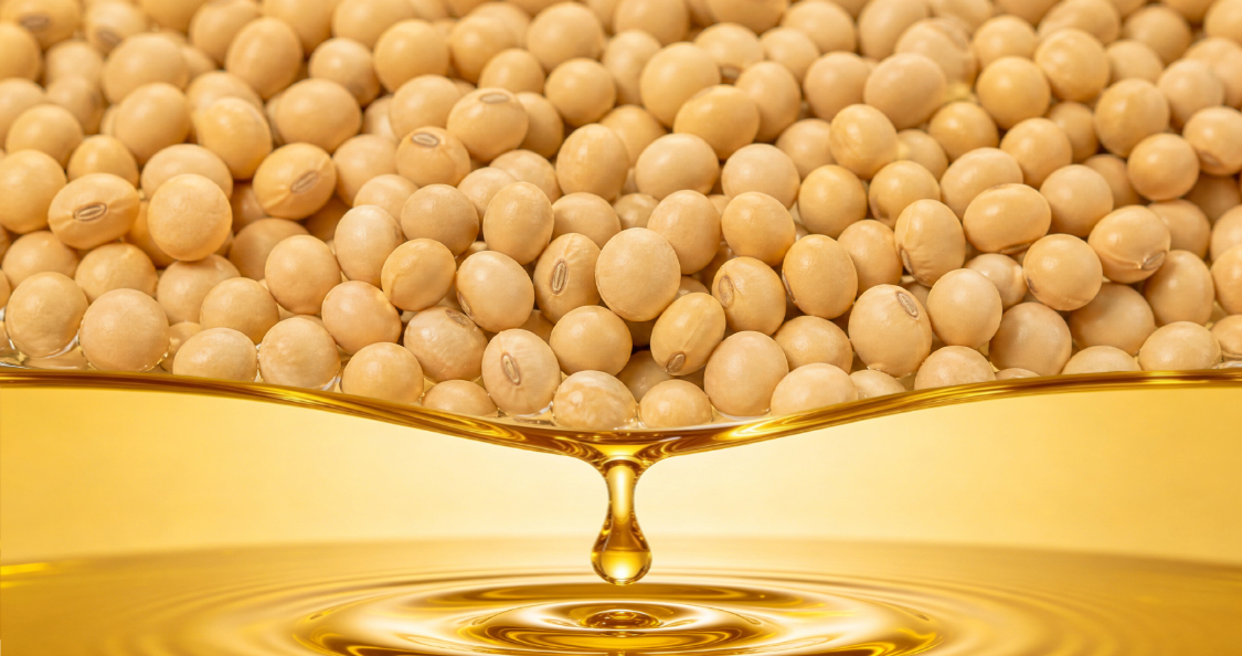 How Soybean Oil Extraction Plants Are Cutting Solvent Loss by 30% With New Vacuum Evaporation System